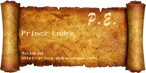 Princz Endre névjegykártya